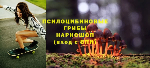 а пвп мука Алзамай