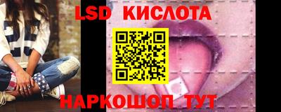 прущие грибы Долгопрудный