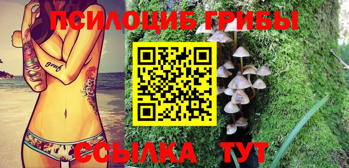 Псилоцибиновые грибы Psilocybine cubensis  Вход с VPN  Большой Камень 