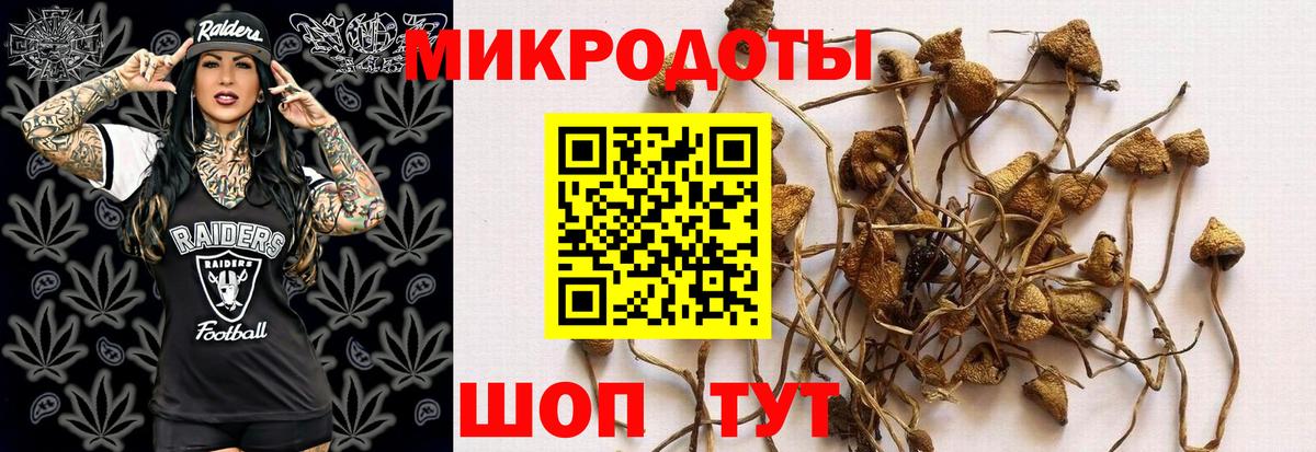 Галлюциногенные грибы Psilocybine cubensis Большой Камень
